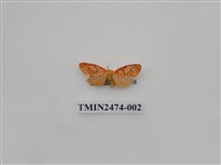 藏品(聯美苔蛾)的圖片